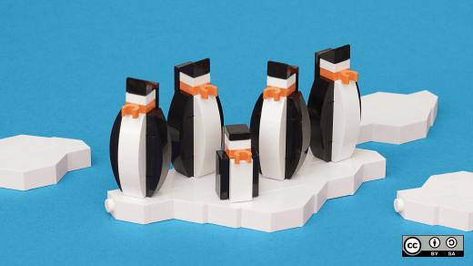 5 pengiuns floating on iceburg