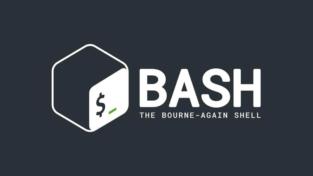 怎样用 Bash 编程：逻辑操作符和 shell 扩展