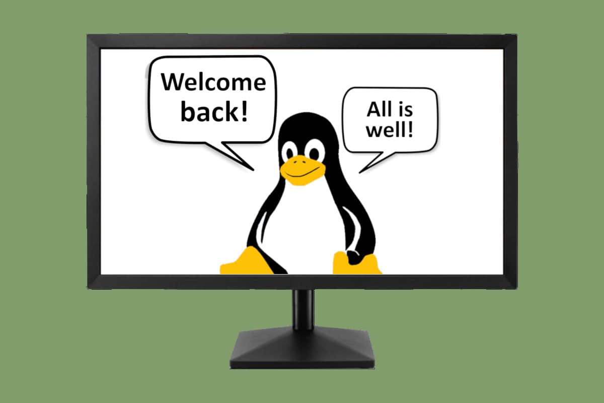 如果 SSH 被中断，Linux screen 工具如何拯救你的任务以及理智