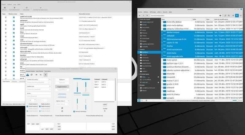 Linux Mint 20 发布前一窥