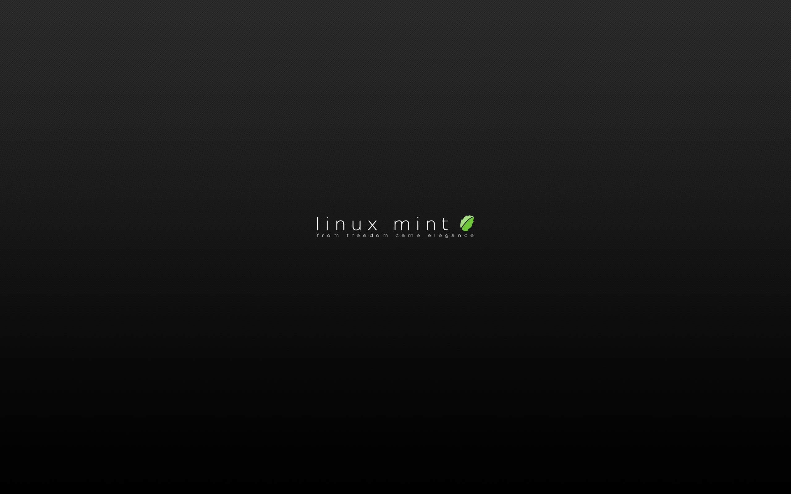 安装 Linux Mint 20 后需要做的 13 件事