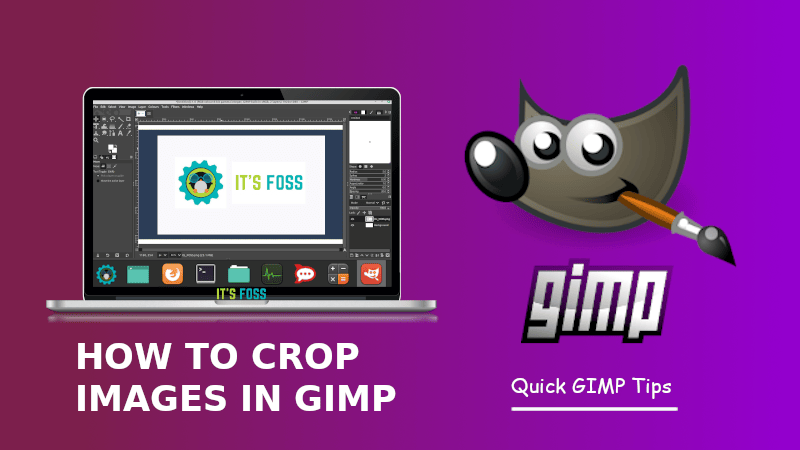 GIMP 教程：如何使用 GIMP 裁剪图像