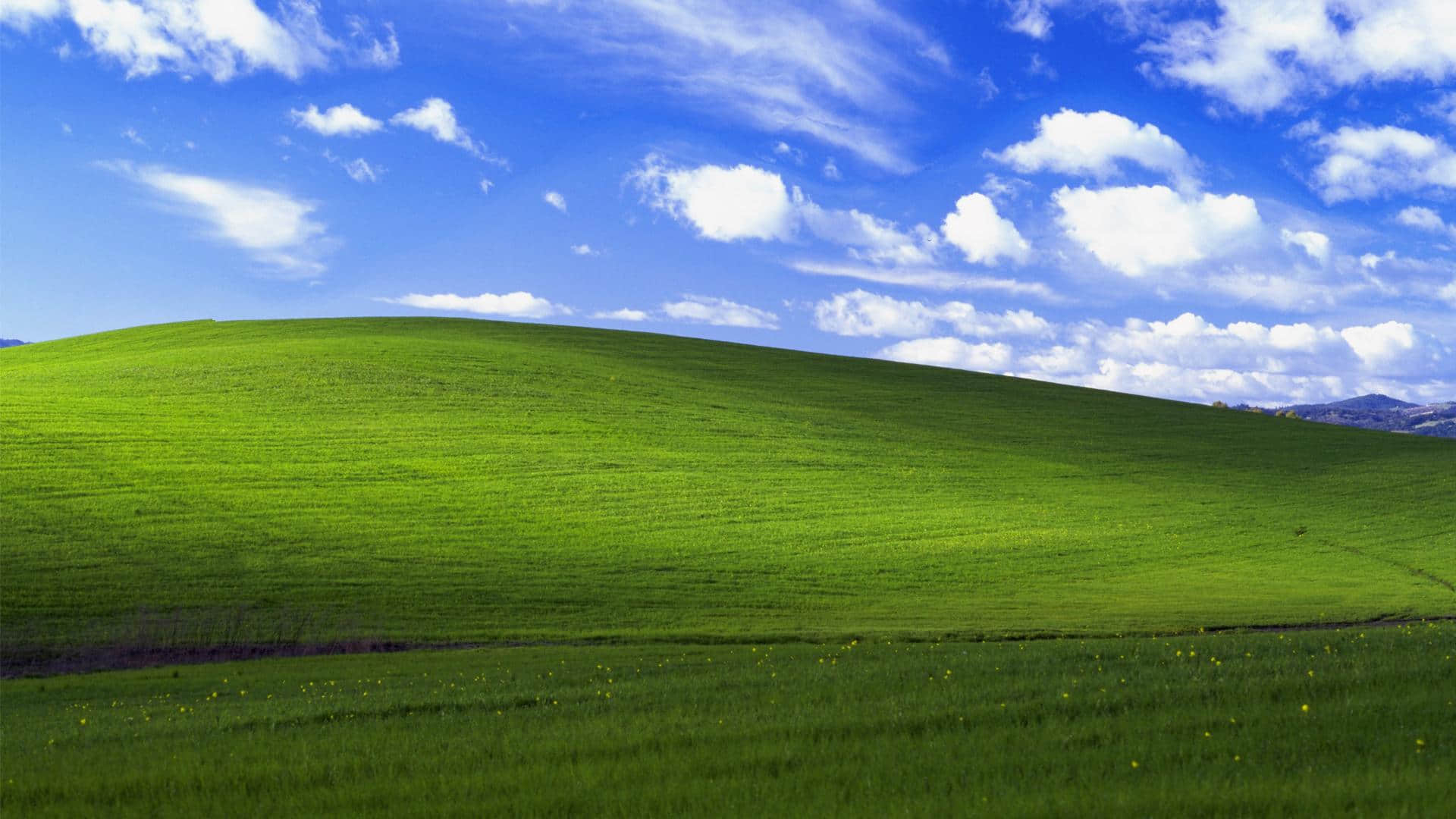 '#新闻拍一拍# 泄露的 Windows XP 代码经用户编译为可运行的系统'