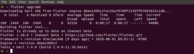flutter upgrade output