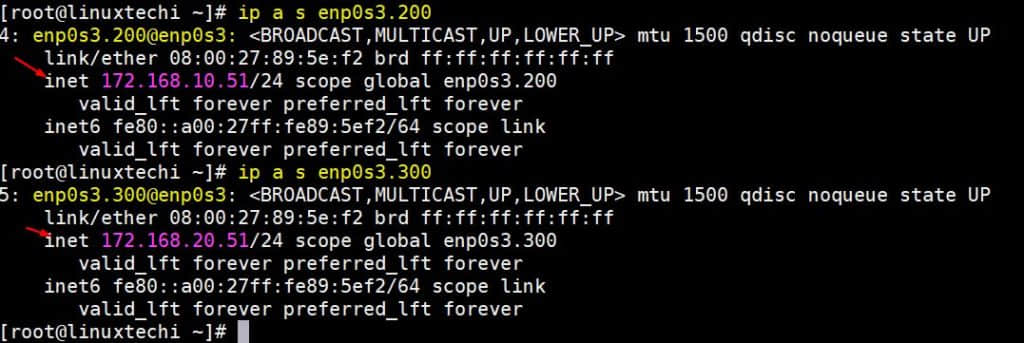 ip-address-tagged-nic