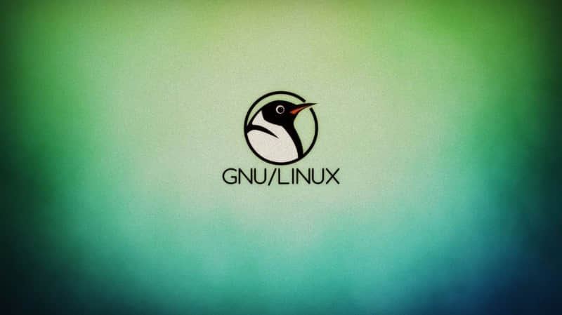 硬核观察 | Linus Torvalds 认为 GPL 是 Linux 成功的重要部分