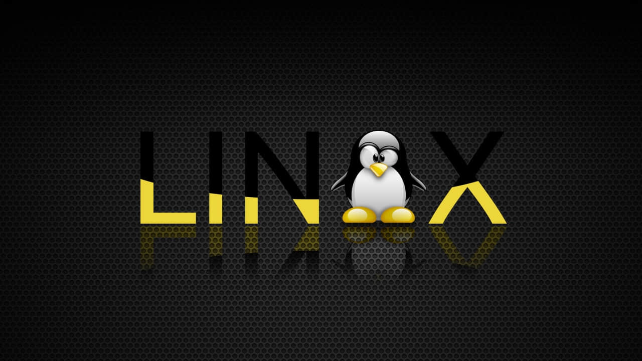 基础：在 Linux 终端中删除文件和文件夹