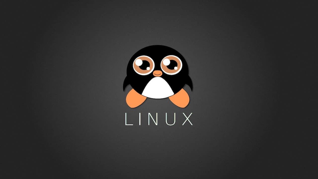 12 个对新手最重要的 Linux 命令