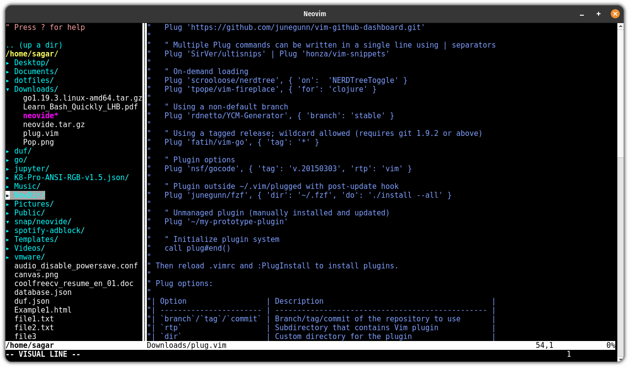 neovim Qt